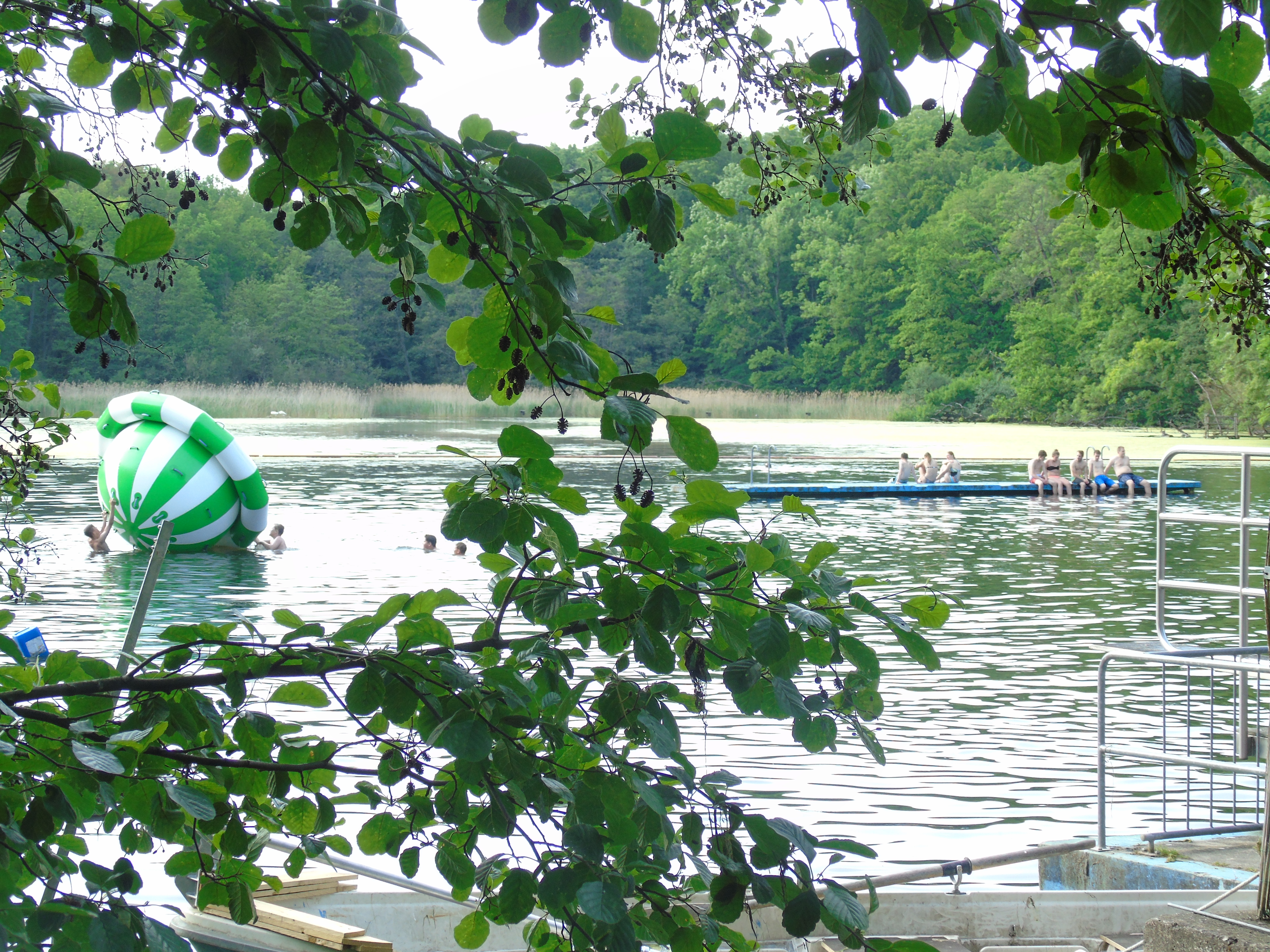 Blick auf das Waldschwimmbad durch die Bäume
